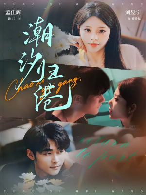 潮汐归港（66集）免费看