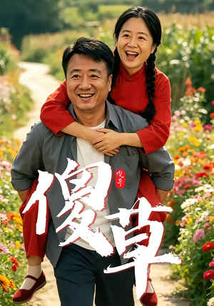 傻草（71集）精彩的网络短剧