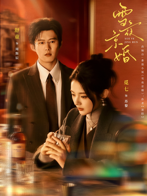 雪夜京婚（84集）我全都看完了