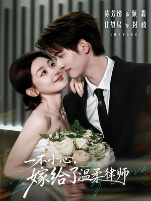一不小心，嫁给了温柔律师（65集）热门短剧推广