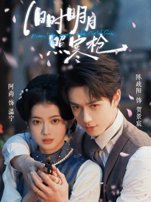 旧时明月照寒枪（62集）无需会员免费看