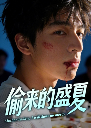 偷来的盛夏（40集）古装短剧热播