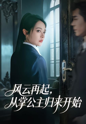 风云再起，从掌公主归来开始（65集）全集免费观看