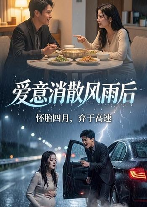 爱意消散风雨后（52集）免费看短剧全集