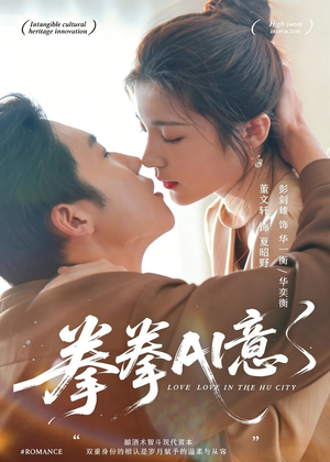 拳拳AI意（72集）视频在线看