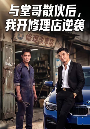 与堂哥散伙后，我开修理店逆袭（40集）免费观看