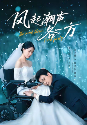 风起潮声各一方（84集）超火短剧抢先看