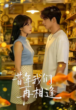 昔年我们再相逢（40集）精彩短剧看不停