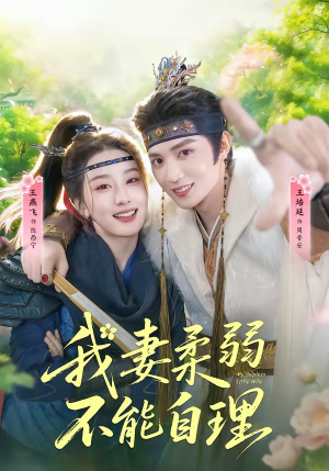 我妻柔弱不能自理（72集）精彩好看短剧