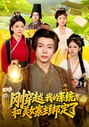 刚穿越，我的系统和美女寨主绑定了（98集）精彩短剧看不停