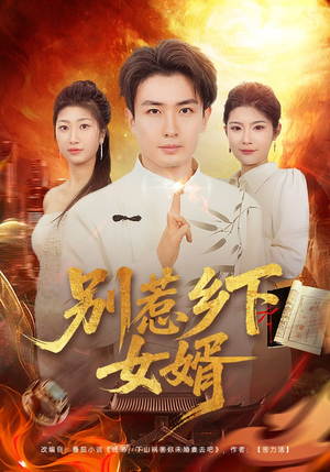 别惹乡下女婿（80集）在哪里可以全集
