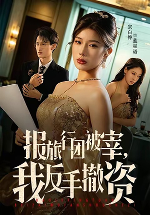 报旅行团被宰，我反手撤资（59集）全集我都看完了