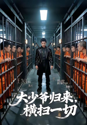 大少爷归来，横扫一切（80集）热播短剧追不停