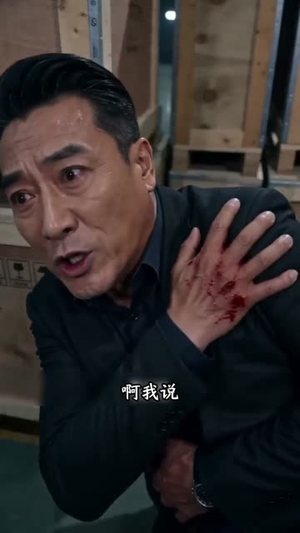 父辱子归(20集) 父辱子归(20集)零花钱看整部剧