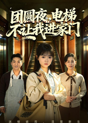 团圆夜，电梯不让我进家门（52集）精彩短剧看不停