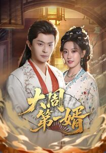 大周第一婿（114集）大结局完美收官