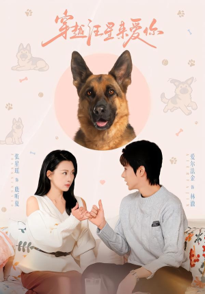 穿越汪星来爱你（62集）战神短剧推荐