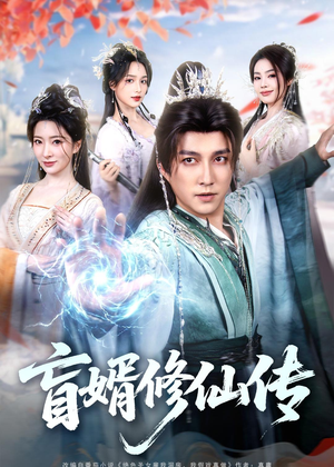 盲婿修仙传（65集）短剧免费看全集