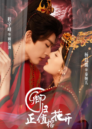 卿归正值榕花开（70集）女主谁演的