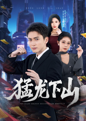 猛龙下山（75集）精彩短剧看不停