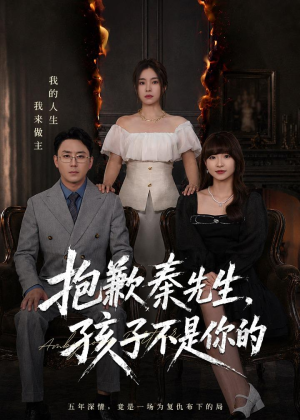 抱歉秦先生，孩子不是你的（53集）精彩热门短剧