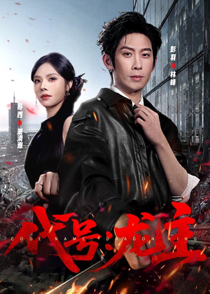 代号：龙主（70集）评价怎么样