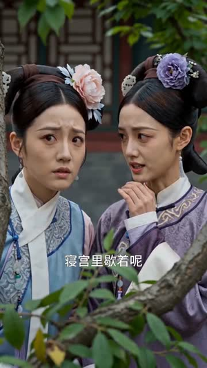 深宫活命途（66集）网盘在线观看