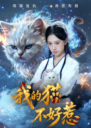 我的猫不好惹（42集）超好看短剧推荐