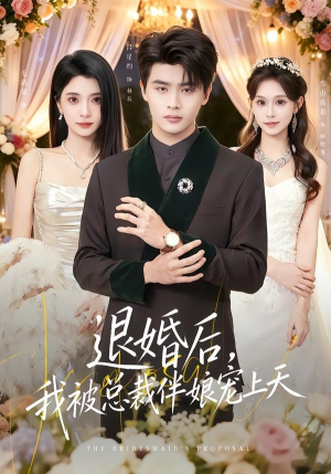 退婚后，我被总裁伴娘宠上天（60集）解说