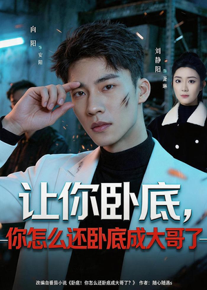 让你卧底，你怎么还卧成大哥了（80集）短剧精彩绝伦