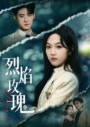 烈焰玫瑰（37集）小短剧抢先看