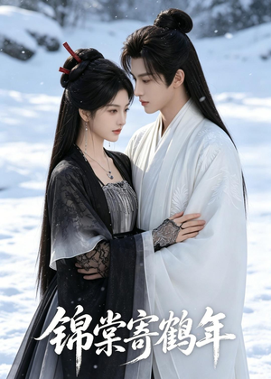 锦棠寄鹤年（59集最新上映免费看