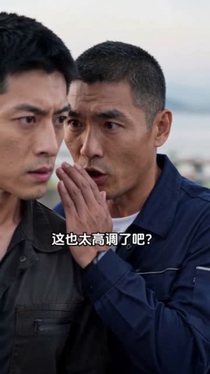 逆风守桥（32集）直接看到大结局
