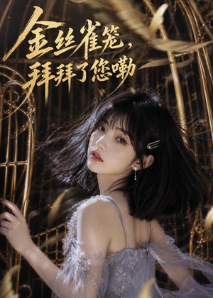 金丝雀笼，拜拜了您嘞（40集）全集