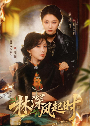 林深风起时（63集）短剧热门合集