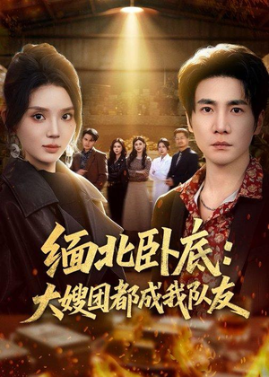 缅北卧底：大嫂团都成我队友（71集）短剧抢先看全集