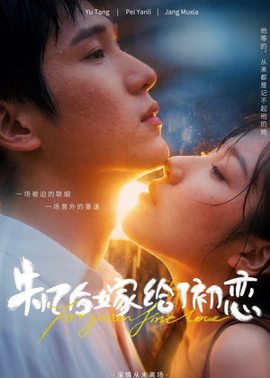 失忆后嫁给了初恋（10集）免费在线看全集