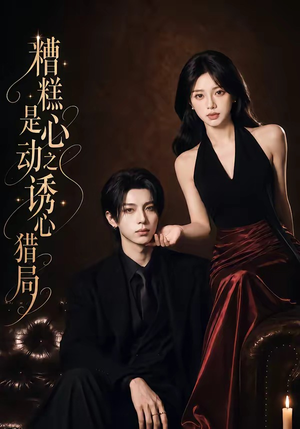 糟糕是心动之诱心猎局第三季（40集）1080P（含1-2季）在哪里可以看