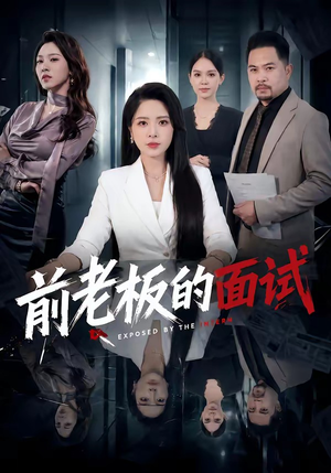 前老板的面试（45集）精彩短剧追不停