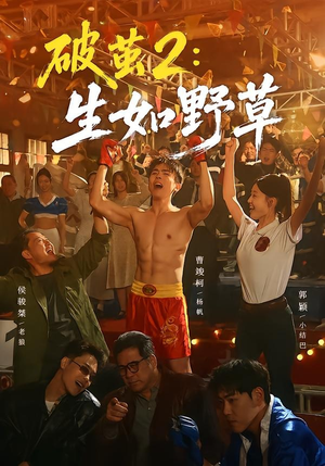 破茧2：生如野草（55集）视频在线看