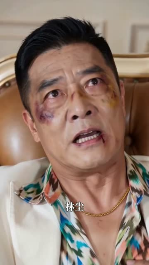 隐龙归来之奋斗的归来（30集）在线看免费版