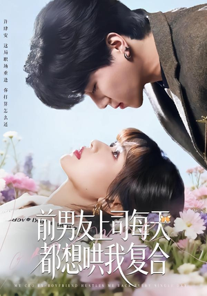 前男友上司每天都想哄我复合（77集）热播短剧分享
