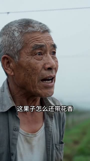 开局被扫地出门,我包下荒山种出天价葡萄(61集) 开局被扫地出门,我包下荒山种出天价葡萄(61集)新短剧推荐