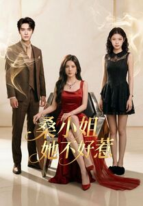 桑小姐她不好惹（103集）女主谁演的