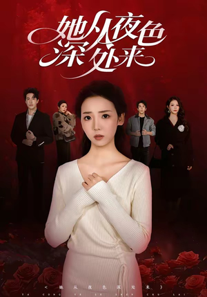 她从夜色深处来（62集）在线看
