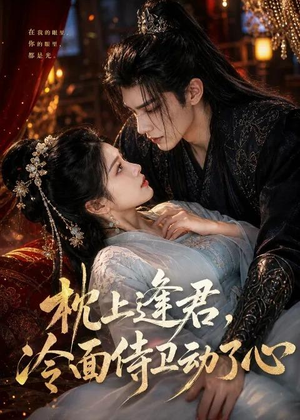枕上逢君,冷面侍卫动了心(92集) 枕上逢君,冷面侍卫动了心(92集)剧好看短剧推荐