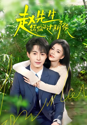 赵先生结婚证过期不候（50集）第三季