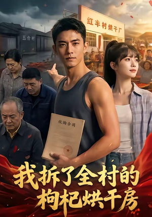 我拆了全村的枸杞烘干房（40集）全季一次看完