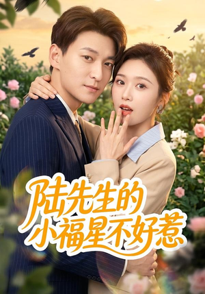 陆先生的小福星不好惹（56集）1-102集