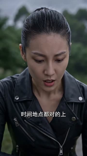 隐龙归来江湖荡（70集）短剧在线看